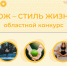 Приглашаем вологжан к участию  в областном конкурсе «ЗОЖ – стиль жизни». - Верховажский муниципальный округ