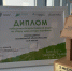 Почта России установила рекорд по сбору макулатуры в акции «БумБатл». - Верховажский муниципальный округ