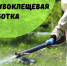 Памятка по обработке инсектицидами открытой территории от клещей. - Верховажский муниципальный округ
